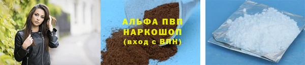 СК Аркадак