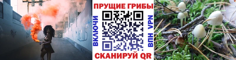 KRAKEN ссылки  Стрежевой  Псилоцибиновые грибы Psilocybine cubensis  где продают наркотики 